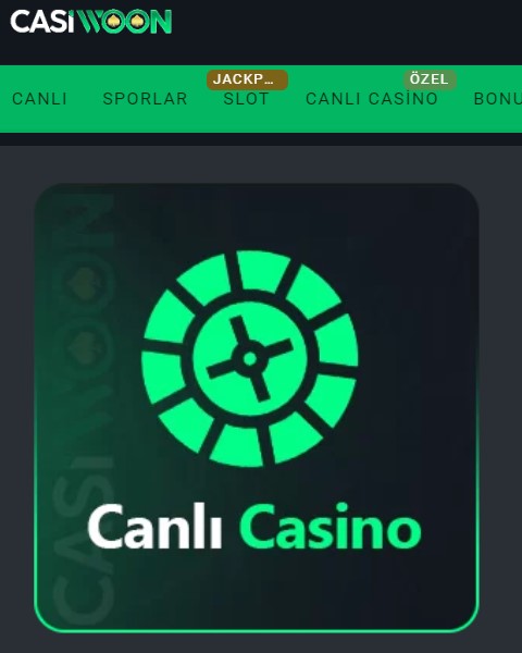 Casiwoon Canlı Destek