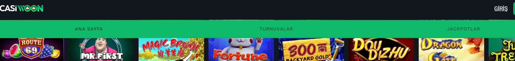 Casiwoon Yeni Giriş Adresi